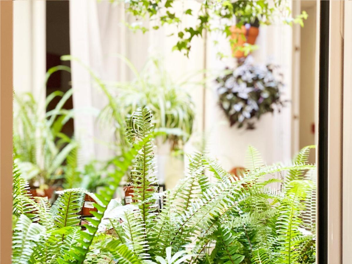 Portugal Guest house Barcelona